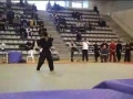 Crazy Martial Arts performance