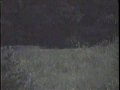 Most Authentic ghost footage of all time