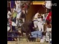 Bull Fights Back