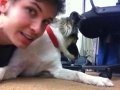 ANNOYING MY DOG Laziest Vlog Series Ever 08-16-10
