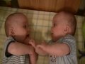 Twin Baby Boys Laughing at Each Other