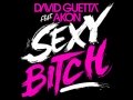 David Guetta feat Akon - Sexy Bitch Offical Version High Quality