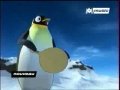 Pigloo - Le papa Pingouin - Clip