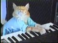 Charlie Schmidts Keyboard Cat